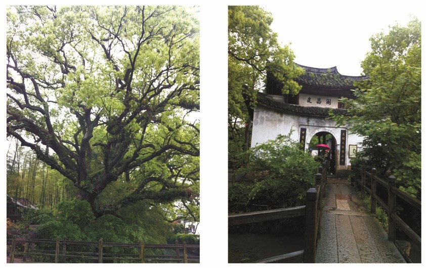 古堰畫鄉(xiāng)小圖 拷貝.jpg